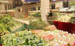 未来玉米品种如何满足全球多样化食品需求
